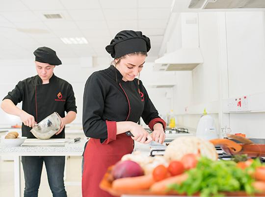 Gastronomy and Culinary Arts
