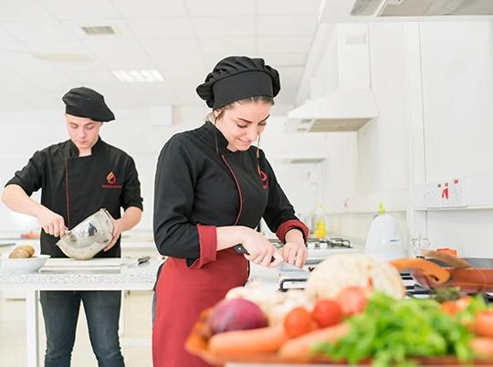 Gastronomy and Culinary Arts
